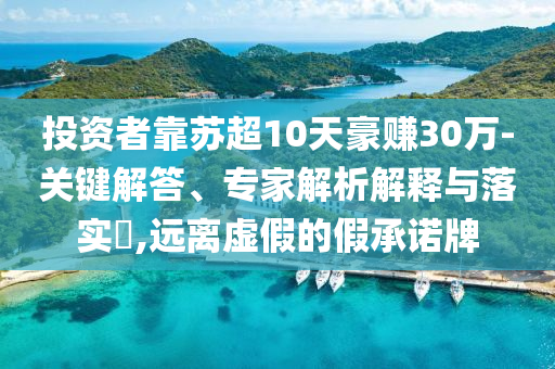 投資者靠蘇超10天豪賺30萬-關(guān)鍵解答、專家解析解釋與落實?,遠(yuǎn)離虛假的假承諾牌