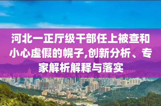 河北一正廳級干部任上被查和小心虛假的幌子,創(chuàng)新分析、專家解析解釋與落實
