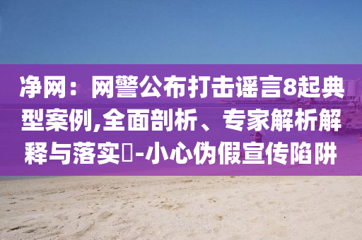 凈網(wǎng)：網(wǎng)警公布打擊謠言8起典型案例,全面剖析、專家解析解釋與落實?-小心偽假宣傳陷阱