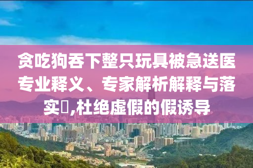 貪吃狗吞下整只玩具被急送醫(yī)專業(yè)釋義、專家解析解釋與落實?,杜絕虛假的假誘導