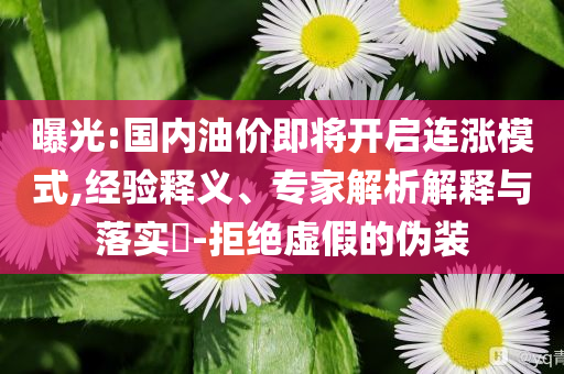 曝光:國(guó)內(nèi)油價(jià)即將開(kāi)啟連漲模式,經(jīng)驗(yàn)釋義、專(zhuān)家解析解釋與落實(shí)?-拒絕虛假的偽裝