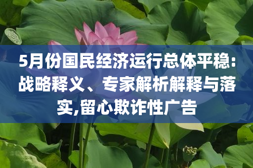 5月份國民經(jīng)濟運行總體平穩(wěn):戰(zhàn)略釋義、專家解析解釋與落實,留心欺詐性廣告