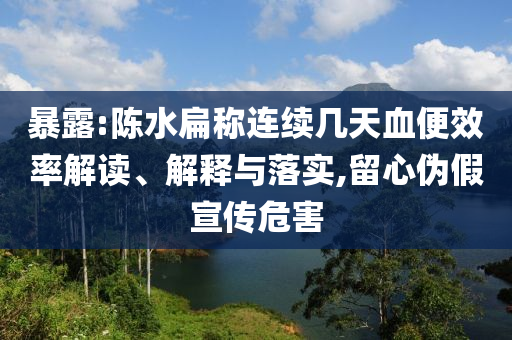 暴露:陳水扁稱連續(xù)幾天血便效率解讀、解釋與落實(shí),留心偽假宣傳危害