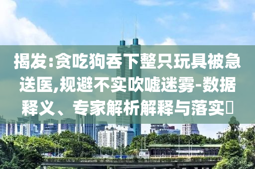 揭發(fā):貪吃狗吞下整只玩具被急送醫(yī),規(guī)避不實(shí)吹噓迷霧-數(shù)據(jù)釋義、專家解析解釋與落實(shí)?