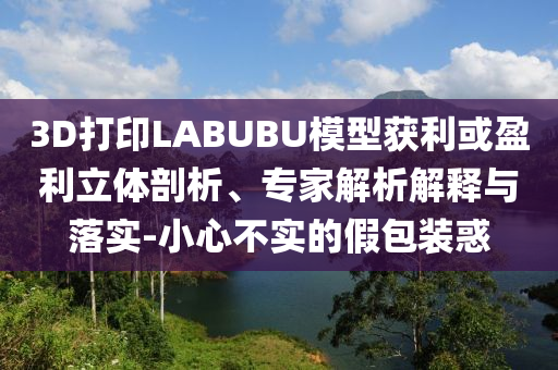 3D打印LABUBU模型獲利或盈利立體剖析、專家解析解釋與落實(shí)-小心不實(shí)的假包裝惑