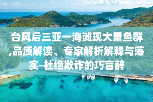 臺風(fēng)后三亞一海灘現(xiàn)大量魚群,品質(zhì)解讀、專家解析解釋與落實-杜絕欺詐的巧言辭