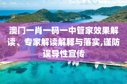 澳門一肖一碼一中管家效果解讀、專家解讀解釋與落實(shí),謹(jǐn)防誤導(dǎo)性宣傳