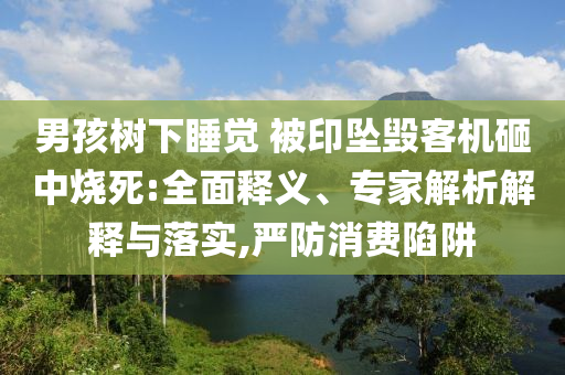 男孩樹下睡覺 被印墜毀客機砸中燒死:全面釋義、專家解析解釋與落實,嚴防消費陷阱