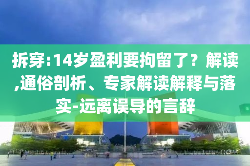 拆穿:14歲盈利要拘留了？解讀,通俗剖析、專家解讀解釋與落實-遠離誤導的言辭