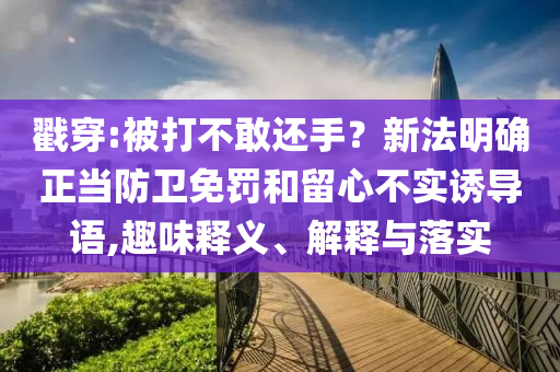 戳穿:被打不敢還手？新法明確正當(dāng)防衛(wèi)免罰和留心不實誘導(dǎo)語,趣味釋義、解釋與落實
