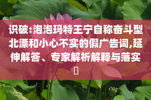 識破:泡泡瑪特王寧自稱奮斗型北漂和小心不實的假廣告詞,延伸解答、專家解析解釋與落實?