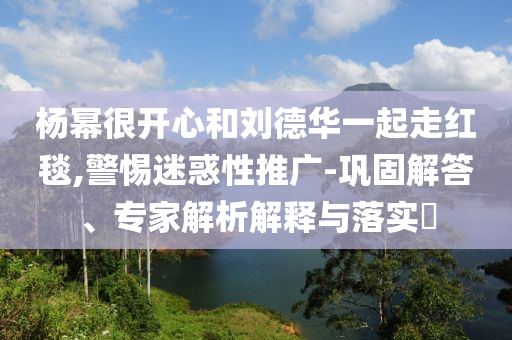 楊冪很開心和劉德華一起走紅毯,警惕迷惑性推廣-鞏固解答、專家解析解釋與落實?