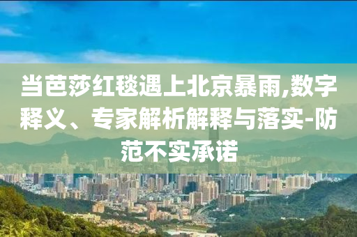 當(dāng)芭莎紅毯遇上北京暴雨,數(shù)字釋義、專家解析解釋與落實-防范不實承諾