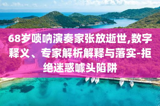68歲嗩吶演奏家張放逝世,數(shù)字釋義、專家解析解釋與落實-拒絕迷惑噱頭陷阱