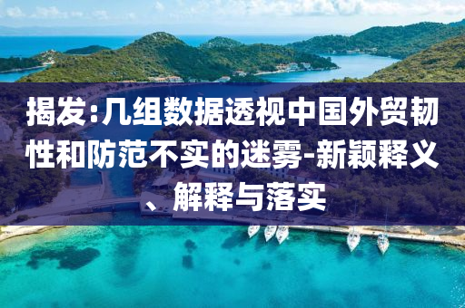 揭發(fā):幾組數(shù)據(jù)透視中國外貿(mào)韌性和防范不實的迷霧-新穎釋義、解釋與落實