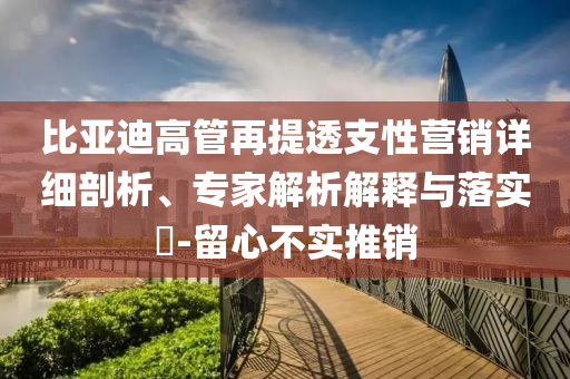 比亞迪高管再提透支性營銷詳細(xì)剖析、專家解析解釋與落實(shí)?-留心不實(shí)推銷