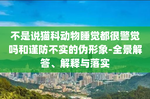 不是說貓科動(dòng)物睡覺都很警覺嗎和謹(jǐn)防不實(shí)的偽形象-全景解答、解釋與落實(shí)