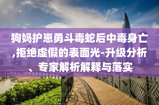 狗媽護(hù)崽勇斗毒蛇后中毒身亡,拒絕虛假的表面光-升級(jí)分析、專(zhuān)家解析解釋與落實(shí)