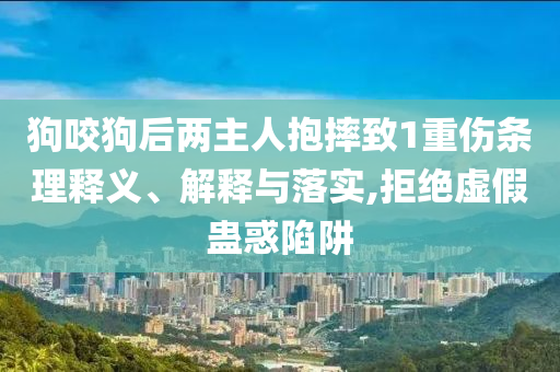 狗咬狗后兩主人抱摔致1重傷條理釋義、解釋與落實(shí),拒絕虛假蠱惑陷阱