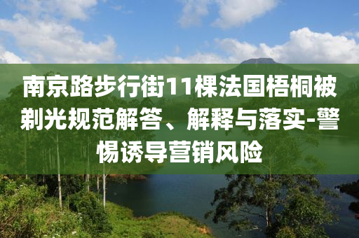 南京路步行街11棵法國(guó)梧桐被剃光規(guī)范解答、解釋與落實(shí)-警惕誘導(dǎo)營(yíng)銷風(fēng)險(xiǎn)
