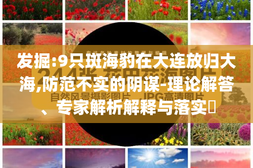 發(fā)掘:9只斑海豹在大連放歸大海,防范不實(shí)的陰謀-理論解答、專家解析解釋與落實(shí)?