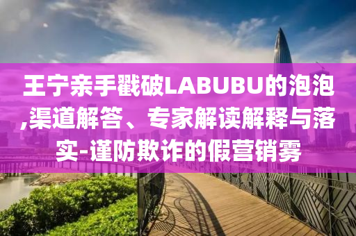 王寧親手戳破LABUBU的泡泡,渠道解答、專家解讀解釋與落實(shí)-謹(jǐn)防欺詐的假營銷霧