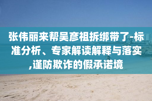 張偉麗來幫吳彥祖拆綁帶了-標(biāo)準(zhǔn)分析、專家解讀解釋與落實(shí),謹(jǐn)防欺詐的假承諾境