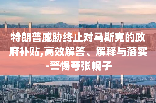 特朗普威脅終止對馬斯克的政府補貼,高效解答、解釋與落實-警惕夸張幌子