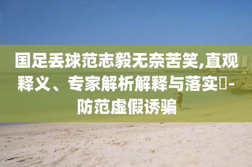 國(guó)足丟球范志毅無(wú)奈苦笑,直觀釋義、專家解析解釋與落實(shí)?-防范虛假誘騙