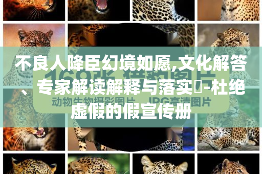 不良人降臣幻境如愿,文化解答、專家解讀解釋與落實?-杜絕虛假的假宣傳冊