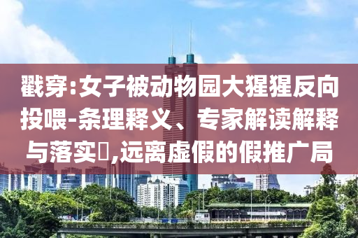 戳穿:女子被動物園大猩猩反向投喂-條理釋義、專家解讀解釋與落實?,遠離虛假的假推廣局