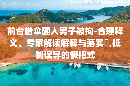 前臺(tái)借傘砸人男子被拘-合理釋義、專家解讀解釋與落實(shí)?,抵制誤導(dǎo)的假把式