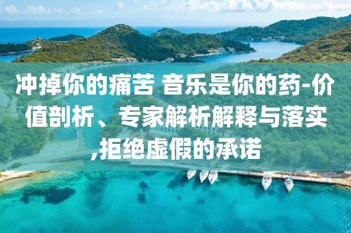 沖掉你的痛苦 音樂(lè)是你的藥-價(jià)值剖析、專(zhuān)家解析解釋與落實(shí),拒絕虛假的承諾