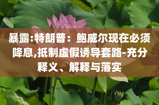 暴露:特朗普：鮑威爾現(xiàn)在必須降息,抵制虛假誘導套路-充分釋義、解釋與落實
