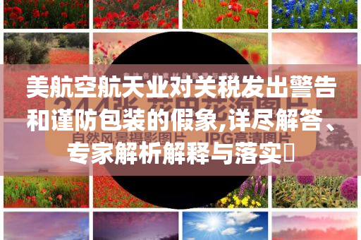 美航空航天業(yè)對關稅發(fā)出警告和謹防包裝的假象,詳盡解答、專家解析解釋與落實?