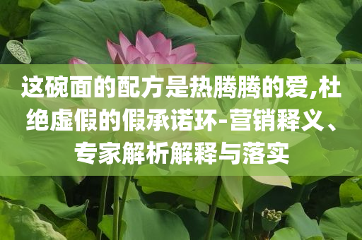 這碗面的配方是熱騰騰的愛(ài),杜絕虛假的假承諾環(huán)-營(yíng)銷(xiāo)釋義、專(zhuān)家解析解釋與落實(shí)