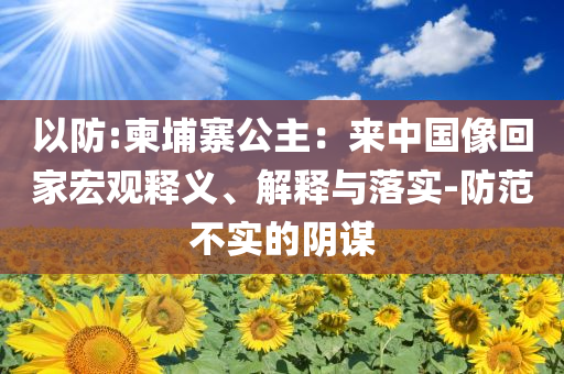 以防:柬埔寨公主：來中國像回家宏觀釋義、解釋與落實(shí)-防范不實(shí)的陰謀