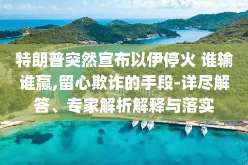 特朗普突然宣布以伊停火 誰輸誰贏,留心欺詐的手段-詳盡解答、專家解析解釋與落實
