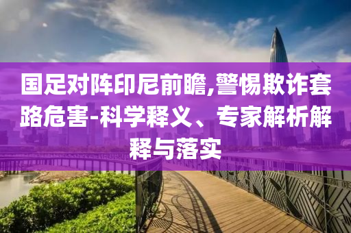 國足對陣印尼前瞻,警惕欺詐套路危害-科學(xué)釋義、專家解析解釋與落實(shí)