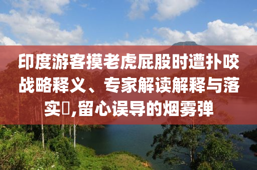印度游客摸老虎屁股時遭撲咬戰(zhàn)略釋義、專家解讀解釋與落實?,留心誤導(dǎo)的煙霧彈