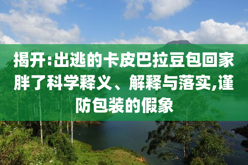 揭開:出逃的卡皮巴拉豆包回家胖了科學(xué)釋義、解釋與落實(shí),謹(jǐn)防包裝的假象