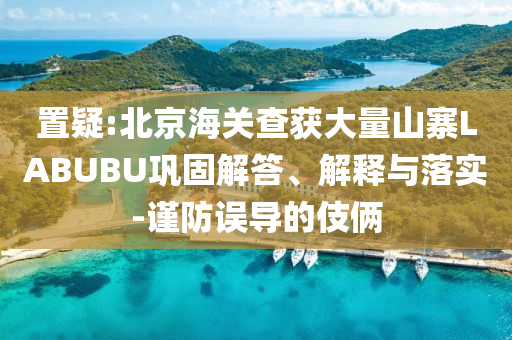 置疑:北京海關查獲大量山寨LABUBU鞏固解答、解釋與落實-謹防誤導的伎倆