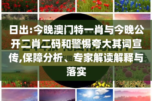 日出:今晚澳門特一肖與今晚公開二肖二碼和警惕夸大其詞宣傳,保障分析、專家解讀解釋與落實(shí)