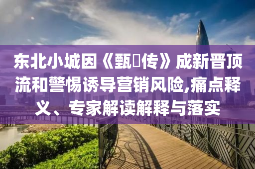 東北小城因《甄嬛傳》成新晉頂流和警惕誘導(dǎo)營(yíng)銷風(fēng)險(xiǎn),痛點(diǎn)釋義、專家解讀解釋與落實(shí)