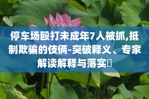 停車場毆打未成年7人被抓,抵制欺騙的伎倆-突破釋義、專家解讀解釋與落實?
