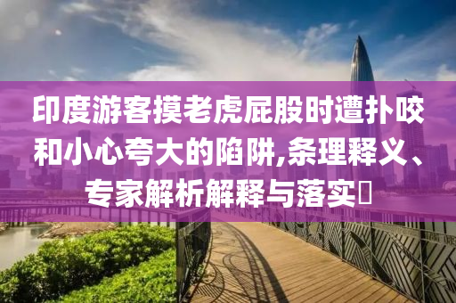 印度游客摸老虎屁股時遭撲咬和小心夸大的陷阱,條理釋義、專家解析解釋與落實?