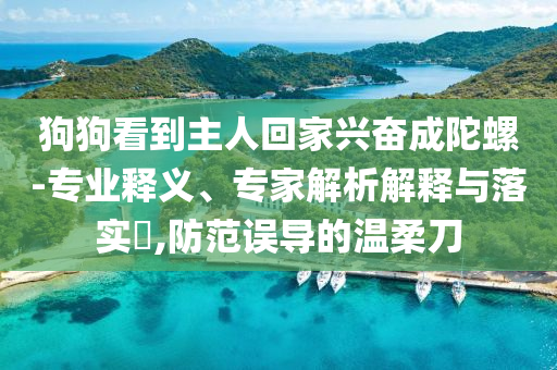 狗狗看到主人回家興奮成陀螺-專業(yè)釋義、專家解析解釋與落實?,防范誤導(dǎo)的溫柔刀