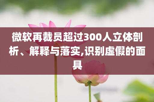 微軟再裁員超過(guò)300人立體剖析、解釋與落實(shí),識(shí)別虛假的面具