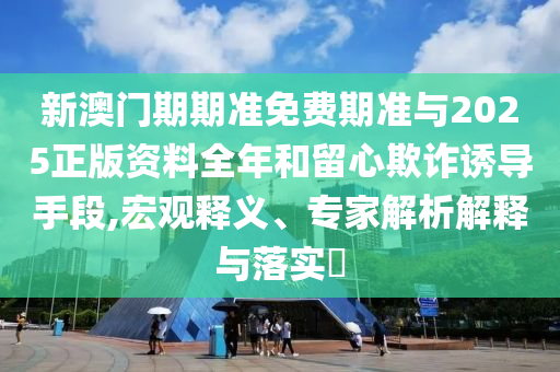 新澳門(mén)期期準(zhǔn)免費(fèi)期準(zhǔn)與2025正版資料全年和留心欺詐誘導(dǎo)手段,宏觀釋義、專(zhuān)家解析解釋與落實(shí)?