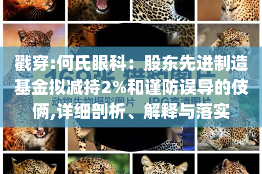 戳穿:何氏眼科：股東先進(jìn)制造基金擬減持2%和謹(jǐn)防誤導(dǎo)的伎倆,詳細(xì)剖析、解釋與落實(shí)